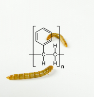 http://studiothomasvailly.com/files/gimgs/th-7_50_mealworm-polysterene-design-studio-thomas-vailly_v2.jpg