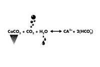 https://studiothomasvailly.com/files/gimgs/th-10_42_07-caco3-chemical-formula.jpg